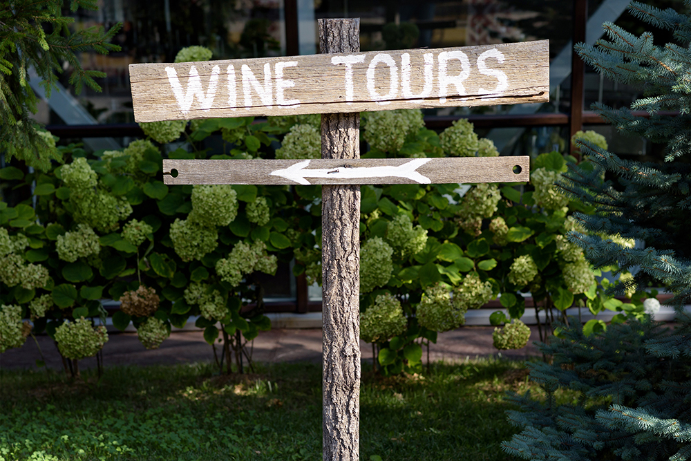 North Georgia Wine Tours, Group Wine Tours